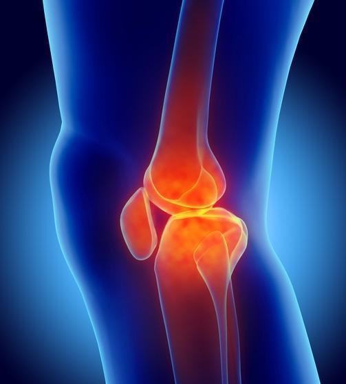 如果不运动, amp, 切事物一刀