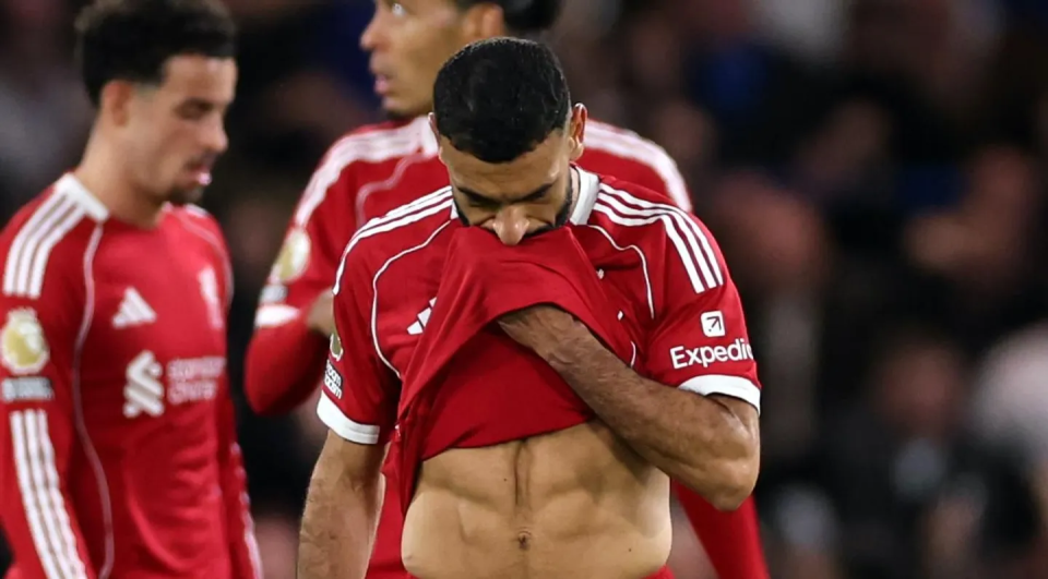 阿诺德的 阿诺德的